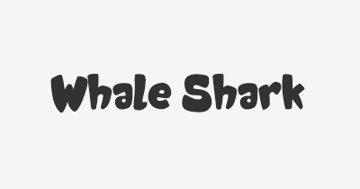 Thumbnail for lifespan of Whale Shark
