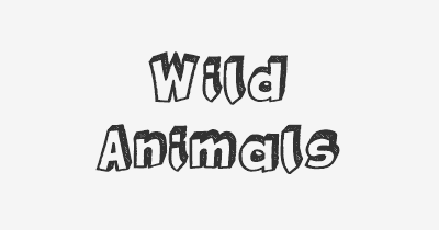 Thumbnail for lifespan of Wild Animals