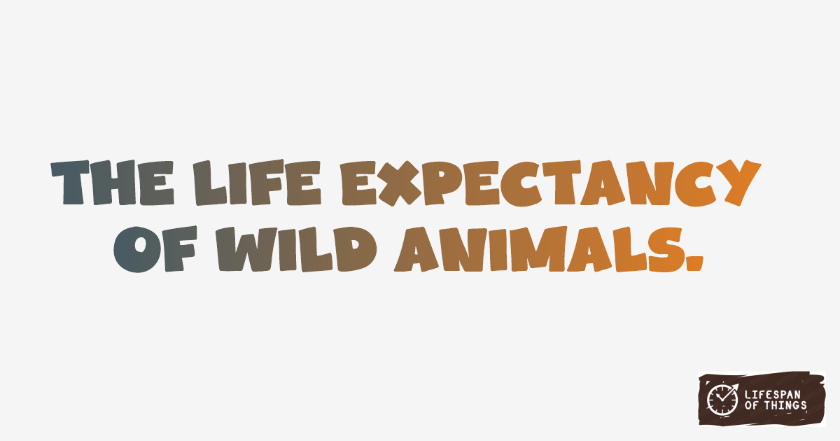 Lifespan of Wild Animals