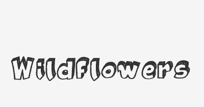 Thumbnail for lifespan of Wildflowers