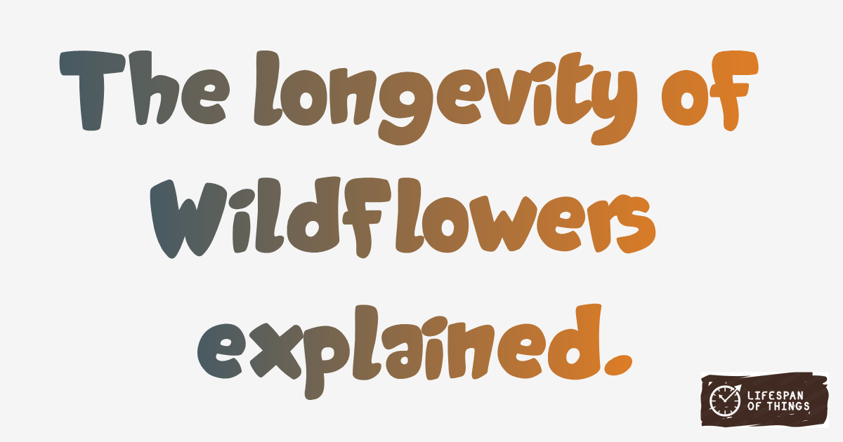 Lifespan of Wildflowers