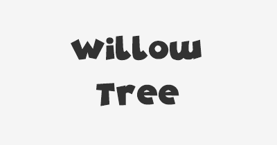Thumbnail for lifespan of Willow Tree