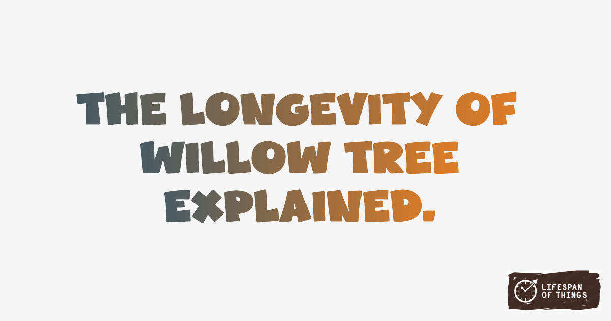 Lifespan of Willow Tree