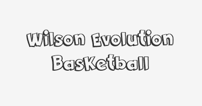 Thumbnail for lifespan of Wilson Evolution Basketball