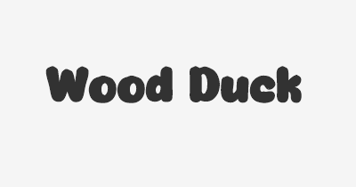 Thumbnail for lifespan of Wood Duck