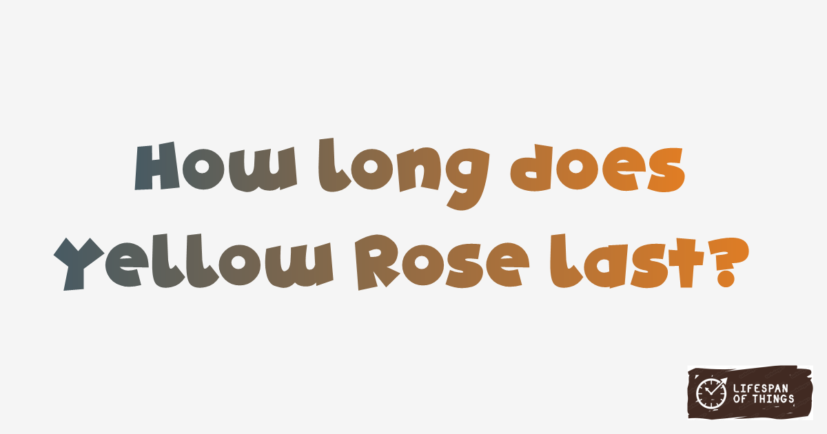 Lifespan of Yellow Rose