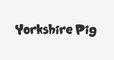 Thumbnail for lifespan of Yorkshire Pig